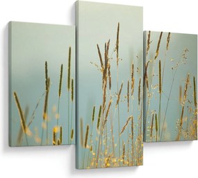 Obraz - Lúčny okamih (90x60 cm)