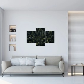 Obraz - Les (90x60 cm)