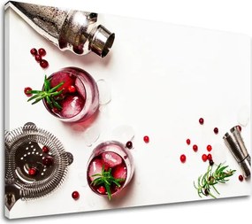 Obraz na stenu LETNÝ DRINK_066-11