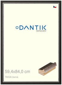 DANTIK rám na obraz 59,4x84 | TAIGA černá (Plexi Čiré)