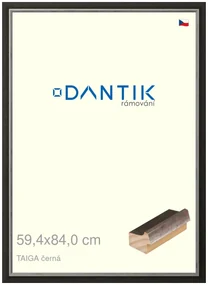 DANTIK rám na obraz 59,4x84 | TAIGA černá (Plexi Čiré)