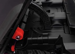 Ramiz Farmársky nákladný automobil UTV Racing Červená