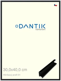 DANTIK rám na obraz 30x40 | ALU Černá matná (Plexi Čiré)