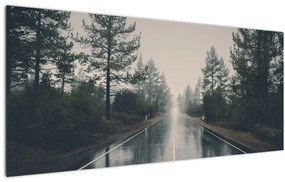 Obraz cesty v daždi (120x50 cm)