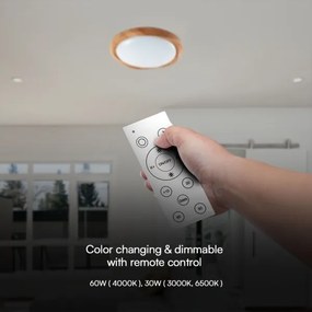 LED Stmievateľné stropné svietidlo LED/60W/230V 3000-6500K + DO