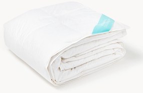 Paplón z vegánskeho páperia Liva, ľahký