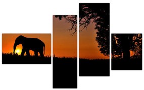 Obraz slona v prírode