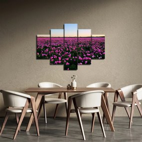 Obraz - Lúka fialových tulipánov (150x105 cm)