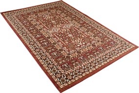 TA Koberec N634A BROWN EUFRAT BGX Hnedý Obdĺžnikový Rozmer: 140x200 cm