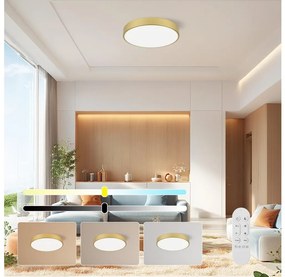 Immax NEO 07292L - LED+CCT stmievateľné stropné svietidlo SEMPLICI 36W/230V pr. 40 cm+DO