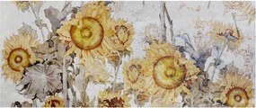 Obraz - Slnečnica v stene (120x50 cm)