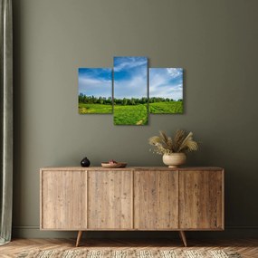 Obraz lúky (90x60 cm)