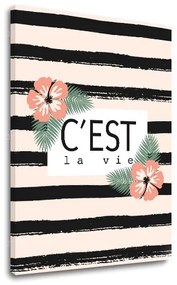 Obraz na stenu s textom C est la vie | rôzne rozmery