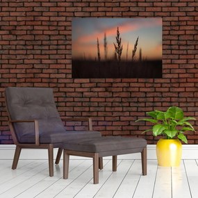 Obraz - Silueta rastliny (90x60 cm)