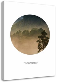 Obraz na plátně Mlha Lesní kruh Příroda - 40x60 cm