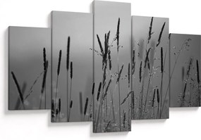Obraz - Steblá trávy (150x105 cm)