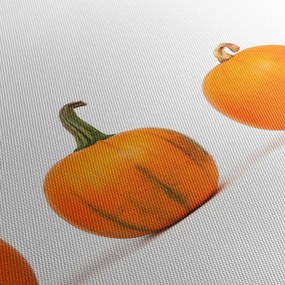 Obraz dyne (s hodinami) (90x30 cm)