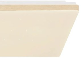 Globo 48025WSH - LED Stmievateľné stropné svietidlo LED/24W/230V Wi-Fi Tuya + DO