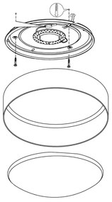 Eglo 93949 - LED stropné svietidlo PALOMARO LED/12W/230V