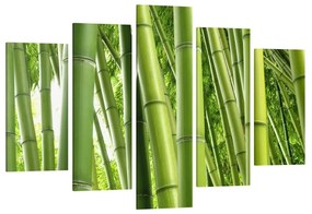 Manufakturer -  Päťdielny obraz Bambusové stromy
