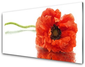 Obraz plexi Kvety príroda 140x70 cm