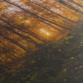Obraz jesenného lesa (70x50 cm)