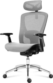 Kancelárska stolička Expert 5.3 Grey Mesh