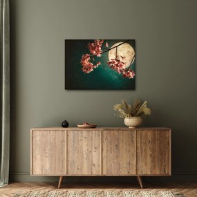 Obraz - Sakura v splne (70x50 cm)