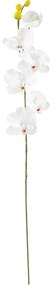 XXXLutz UMELÝ KVET orchidea 72 cm - Kvetinové dekorácie - 0041770763