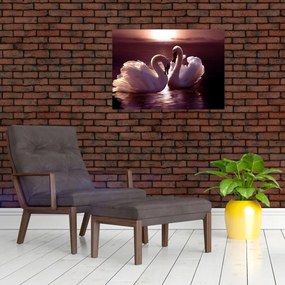 Obraz - Labute na jazere (70x50 cm)