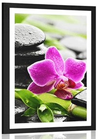 Plagát s paspartou wellness zátišie s fialovou orchideou - 40x60 black