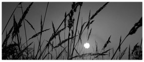 Obraz - Lúka so západom slnka (120x50 cm)
