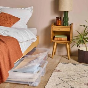 SUNDIS Sada 2 úložných boxov VIEW BOX 50 L – pod posteľ, s vekom a kolieskami