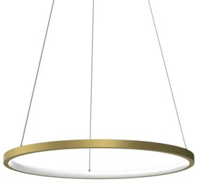 LED Luster na lanku HOOP LED/27W/230V pr. 50 cm 4000K zlatá