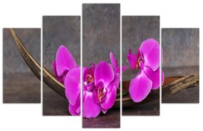 Obraz na plátně pětidílný Orchidejové květinové zenové lázně - 200x100 cm