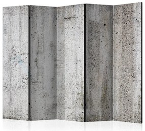 Artgeist Paraván - Grey Emperor II [Room Dividers]