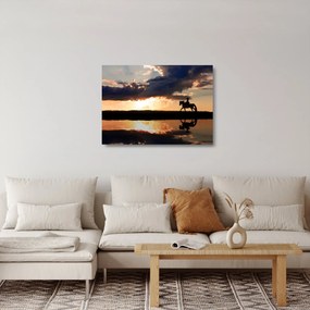 Sklenený obraz - Jazdec na koni pri západe slnka (70x50 cm)
