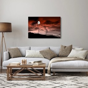 Obraz - Mesiac osvetľujúce noc (90x60 cm)