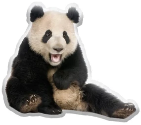 Sablio 3D vankúš Panda
