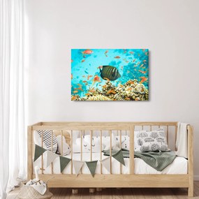 Obraz podmorského sveta (90x60 cm)