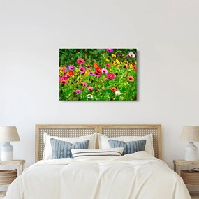 Obraz lúčnych kvetov (90x60 cm)