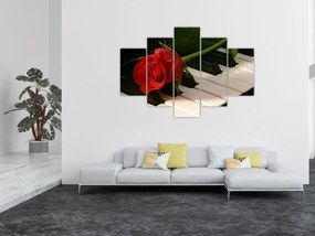 Obraz - Klavír a ruža (150x105 cm)