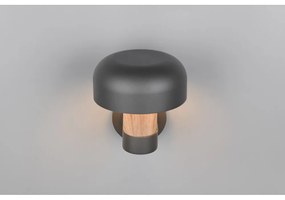 Nástenné vonkajšie svietidlo (výška 24,5 cm) Fraser – Trio