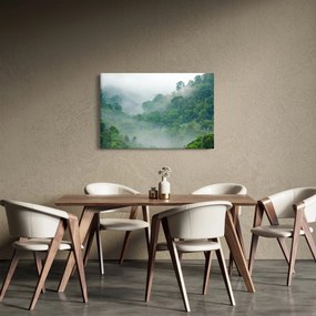Obraz - Ranná hmla (90x60 cm)