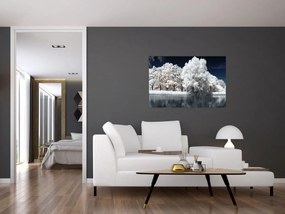 Obraz - Snehobiele stromy (90x60 cm)