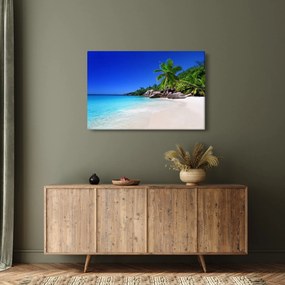 Obraz pláže na Praslin ostrove (90x60 cm)