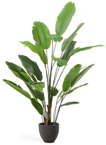 Umelý banánovník (výška 210 cm) – Kave Home