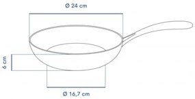 Remoska P2406/10TSC panvica s nepriľnavým povrchom Quanta, 24 cm