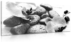 Obraz kúzelná súhra kameňov a orchidey v čiernobielom prevedení