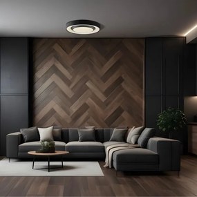 LED Stmievateľné stropné svietidlo ZYGMUNT LED/72W/230V 3000-6000K + DO